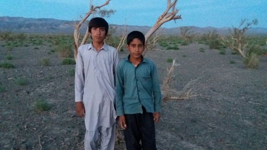 عکس مستند کوتاه سارو