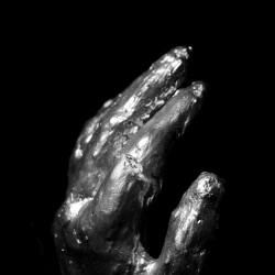 نمایش وحوش مطیع | عکس