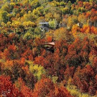 طبیعت پاییزی روستای سیلوار همدان | عکس