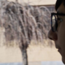 فیلم کوتاه پدر | عکس