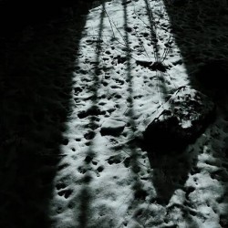 مستند روز غم انگیز | عکس