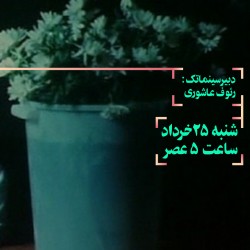 فیلم همین‌که به جلو می‌رفتم، بارقه‌ای از زیبایی را دیدم | عکس