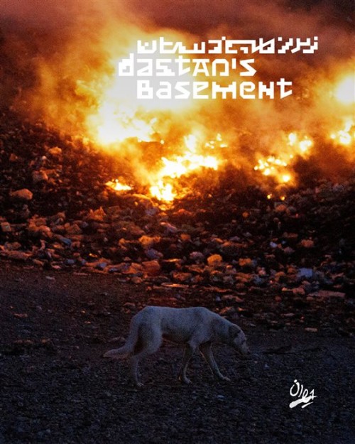 عکس نمایشگاه سگ‌ها