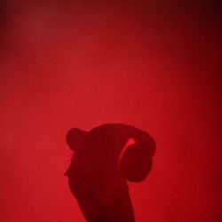 کنسرت-نمایش برگ خزون | عکس