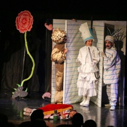 نمایش هیوا | عکس