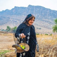 تنگه تاریخی چوگان | عکس