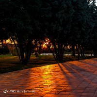 پاییز در باغ گیاه‌شناسی | عکس