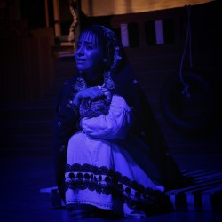 نمایش استرالیا | عکس