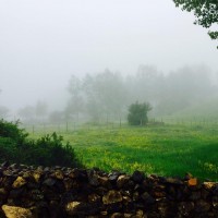 گردش یک سفر یک کتاب |هریجان - با بهمن دارالشفایی| | سفرنامه «یک سفر یک کتاب |هریجان - با بهمن دارالشفایی|» | عکس