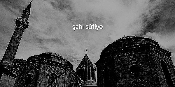 عکس فیلم شاه صوفی