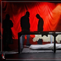 نمایش گاو‌داری | عکس