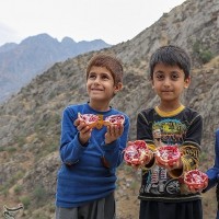 اولین جشنواره انار هورامان، کردستان | عکس