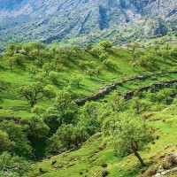 طبیعت بهاری گچساران در کهگیلویه و بویر احمد | عکس