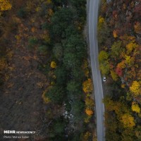  جاده های پاییزی جنگل های هیرکانی | عکس