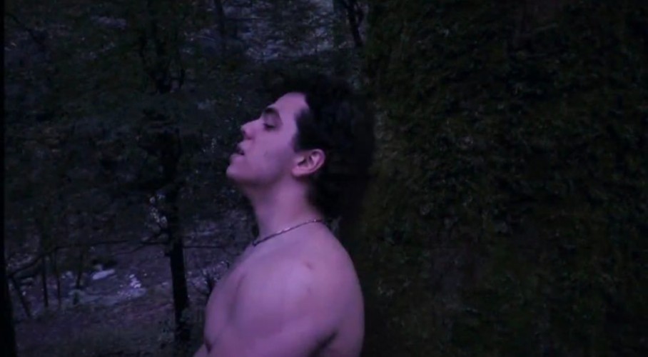 عکس فیلم جنگله شب