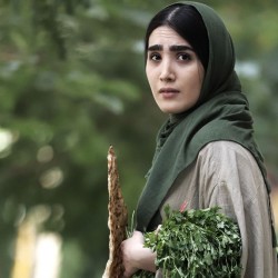 فیلم کوتاه لو باجت | عکس