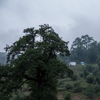 اولُسِبلنگاه؛ بهشتی بالای ابر‌ها | عکس