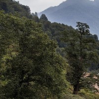 اولُسِبلنگاه؛ بهشتی بالای ابر‌ها | عکس