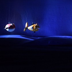 نمایش ماهی کوچولو | عکس
