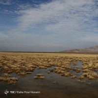 تالاب کمجان شیراز | عکس