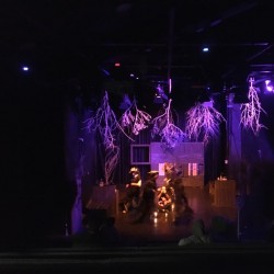 نمایش مردی با گربه‌ی عروسکی | عکس