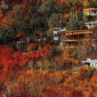 طبیعت پاییزی روستای سیلوار همدان | عکس