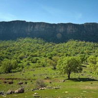 طبیعت بهاری گچساران در کهگیلویه و بویر احمد | عکس