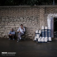 جشنواره سیر و موسیر سولان همدان  | عکس