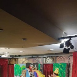 نمایش پینوکیو | عکس