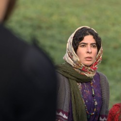 فیلم کوتاه دودمان | عکس