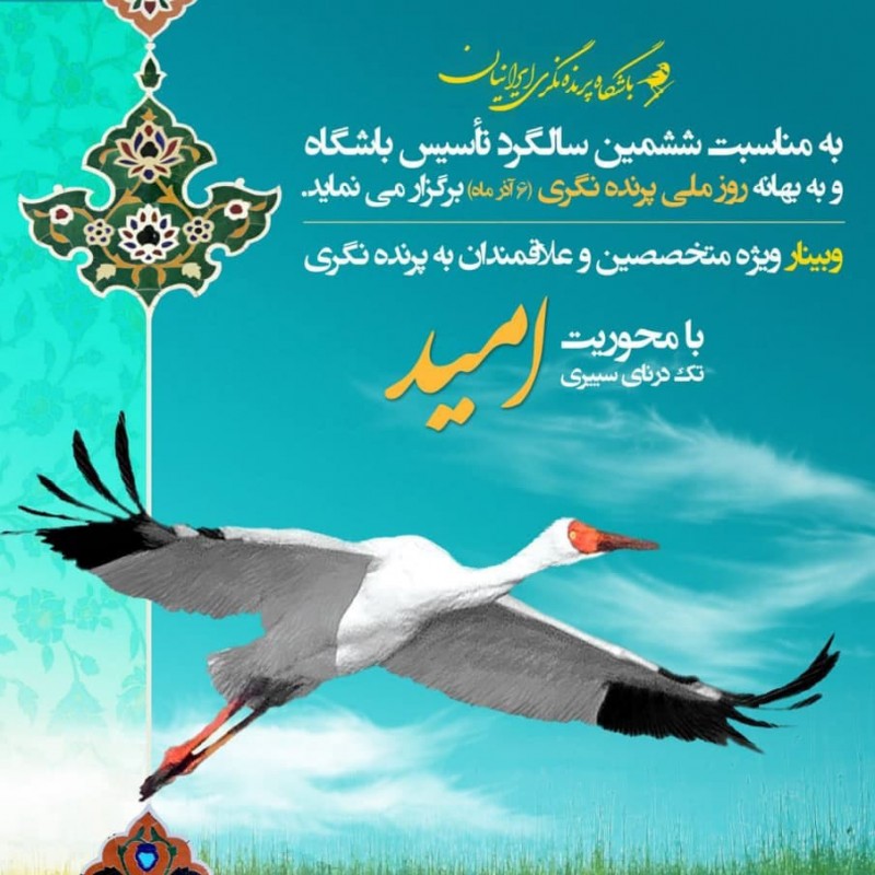 وبینار باشگاه پرنده‌نگری ایرانیان | عکس