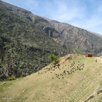 طبیعت روستای لندی چهارمحال و بختیاری | عکس