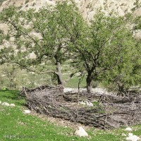 طبیعت روستای لندی چهارمحال و بختیاری | عکس