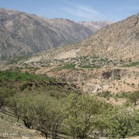 طبیعت روستای لندی چهارمحال و بختیاری | عکس