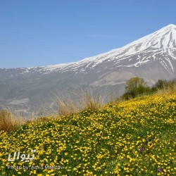 گردش یک سفر یک کتاب |روستای نوا - با مریم مفتاحی| | عکس