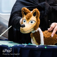 نمایش میشه گرگ نباشیم | گزارش تصویری تیوال از نمایش میشه گرگ نباشیم / عکاس: سارا ثقفی | عکس