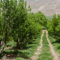 روستای کاکان | عکس