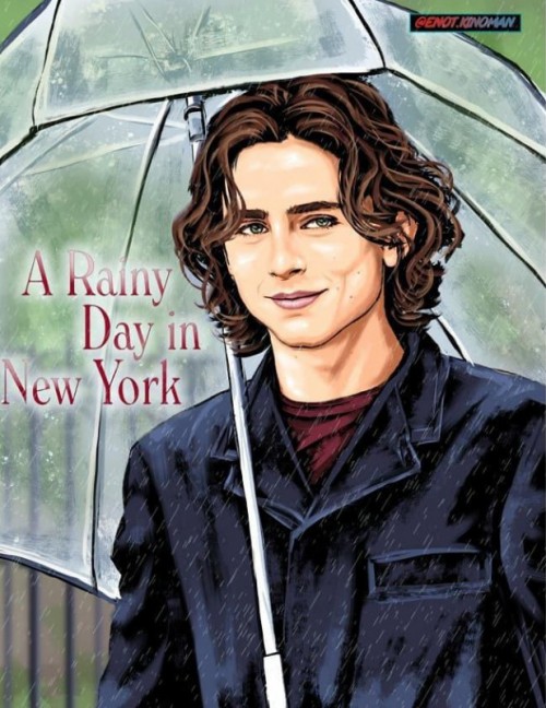عکس فیلم یک روز بارانی در نیویورک