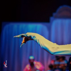 نمایش فین جین | عکس