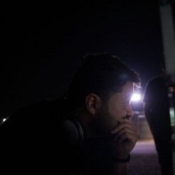 فیلم کوتاه فهرست حیوانات | عکس