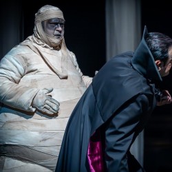 نمایش هتل ترانسیلوانیا | شیراز | عکس