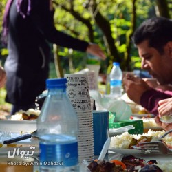 گردش سقراطی |برنامه دهم: جنگل جوارم و گفتگویی با موضوع مهاجرت| | عکس