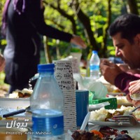 گردش سقراطی |برنامه دهم: جنگل جوارم و گفتگویی با موضوع مهاجرت| | گزارش تصویری تیوال از گردش سقراطی / عکاس: امین مهدوی | عکس