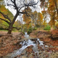 طبیعت پاییزی روستای «مهنان»، خراسان شمالی | عکس