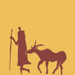 گردش یک پیاده‌روی ساده | عکس