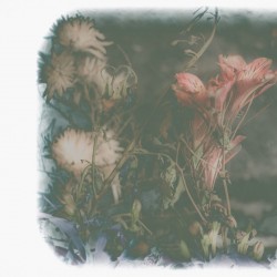 نمایش قتال وضع | دیوار | عکس