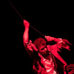 نمایش قلاده‌ای برای یک سگ مرده | عکس