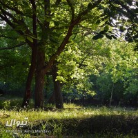 گردش یک سفر یک سفرنامه |روستای ورکانه - با حضور منصور ضابطیان| | سفرنامه «یک سفر یک سفرنامه |روستای ورکانه - با حضور منصور ضابطیان|» | عکس