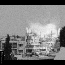 فیلم کوتاه الس | عکس