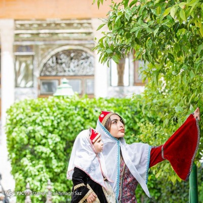 شمیم بهارنارنج در باغ‌های شیراز | عکس